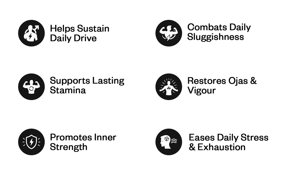 Men’s Strength & Vitality Kit